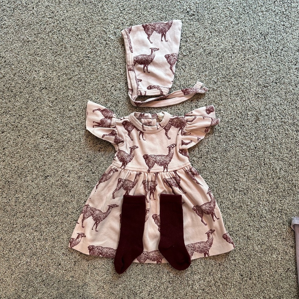 Kate Quinn Llama Outfit